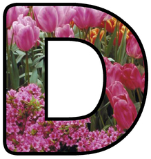 Dekobuchstaben-Tulpe_D.jpg